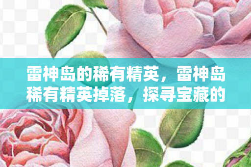雷神岛的稀有精英,雷神岛稀有精英掉落,探寻宝藏的奥秘 雷神岛的稀有精英,雷神岛稀有精英掉落,探寻宝藏的奥秘