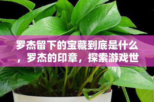 罗杰留下的宝藏到底是什么图片