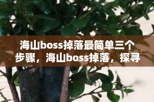 海山boss掉落最简单三个步骤,海山boss掉落,探寻珍稀装备与材料的神秘来源 海山boss掉落最简单三个步骤,海山boss掉落,探寻珍稀装备与材料的神秘来源