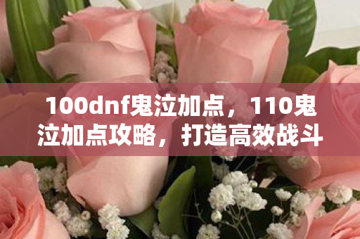 打造高效战斗力的加点方案图片
