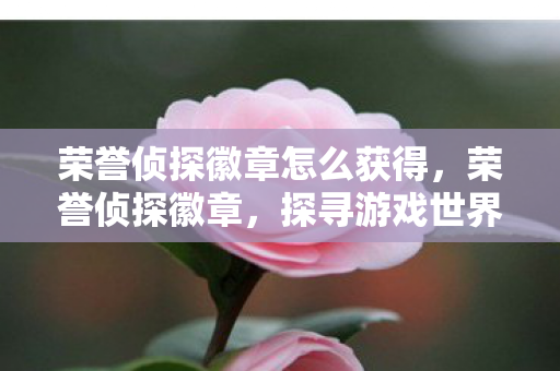 探寻游戏世界的真相与正义图片
