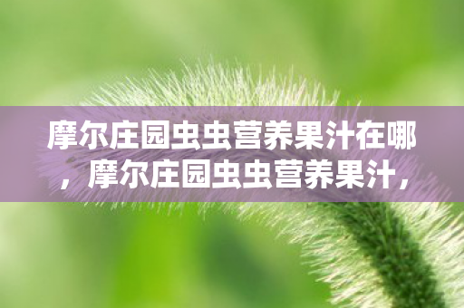 摩尔庄园虫虫营养果汁在哪图片