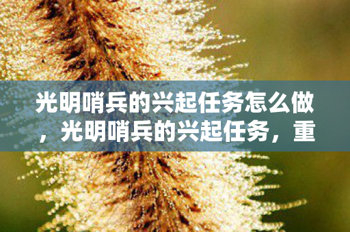 光明哨兵的兴起任务怎么做图片