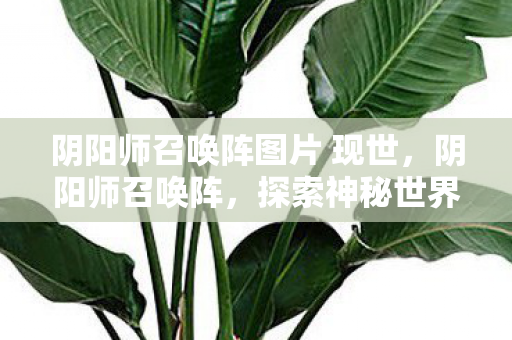 阴阳师召唤阵图片 现世,阴阳师召唤阵,探索神秘世界的神秘之门 阴阳师召唤阵图片 现世,阴阳师召唤阵,探索神秘世界的神秘之门