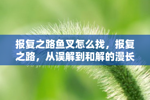 报复之路鱼叉怎么找,报复之路,从误解到和解的漫长旅程 报复之路鱼叉怎么找,报复之路,从误解到和解的漫长旅程