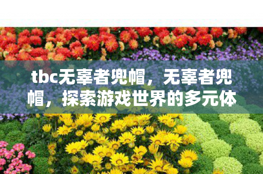 tbc无辜者兜帽,无辜者兜帽,探索游戏世界的多元体验 tbc无辜者兜帽,无辜者兜帽,探索游戏世界的多元体验