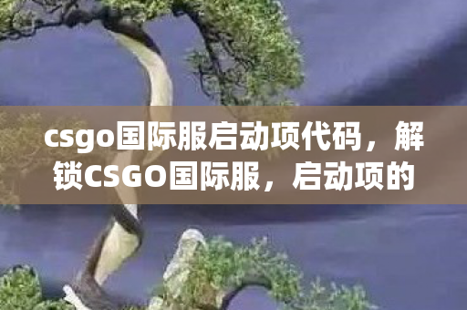 csgo国际服启动项代码，解锁CSGO国际服，启动项的秘密与优化技巧