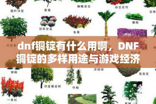 dnf铜锭有什么用啊，DNF铜锭的多样用途与游戏经济影响