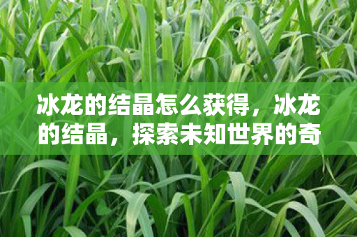 冰龙的结晶怎么获得,冰龙的结晶,探索未知世界的奇幻之旅 冰龙的结晶怎么获得,冰龙的结晶,探索未知世界的奇幻之旅