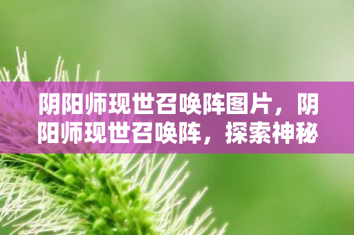 阴阳师现世召唤阵图片,阴阳师现世召唤阵,探索神秘世界的奇幻之旅 阴阳师现世召唤阵图片,阴阳师现世召唤阵,探索神秘世界的奇幻之旅