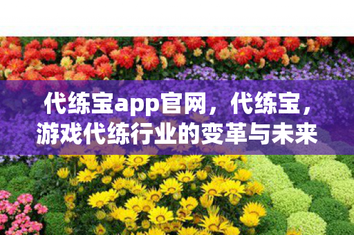 代练宝app官网,代练宝,游戏代练行业的变革与未来 代练宝app官网,代练宝,游戏代练行业的变革与未来
