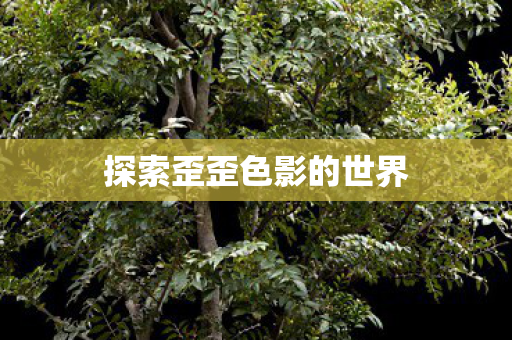 探索歪歪色影的世界 探索歪歪色影的世界