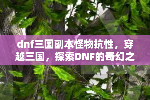 dnf三国副本怪物抗性,穿越三国,探索DNF的奇幻之旅 dnf三国副本怪物抗性,穿越三国,探索DNF的奇幻之旅