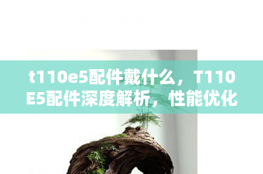 t110e5配件戴什么,T110E5配件深度解析,性能优化与升级指南 t110e5配件戴什么,T110E5配件深度解析,性能优化与升级指南