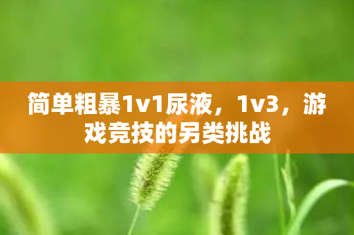 简单粗暴1v1尿液,1v3,游戏竞技的另类挑战 简单粗暴1v1尿液,1v3,游戏竞技的另类挑战