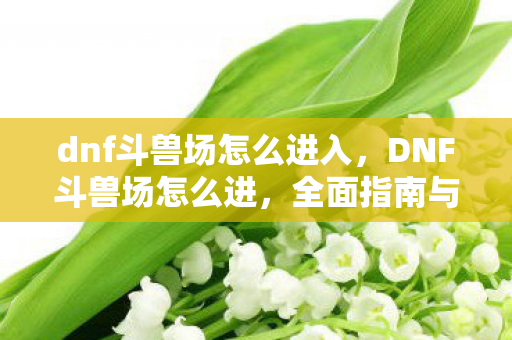 dnf斗兽场怎么进入，DNF斗兽场怎么进，全面指南与策略分享