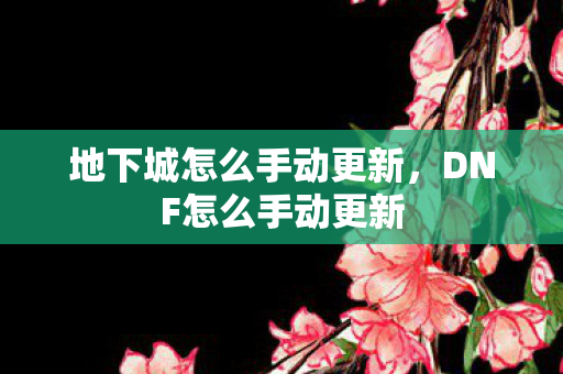 地下城怎么手动更新，DNF怎么手动更新
