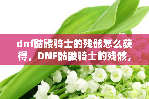 dnf骷髅骑士的残骸怎么获得,DNF骷髅骑士的残骸,探索遗忘之地的神秘传说 dnf骷髅骑士的残骸怎么获得,DNF骷髅骑士的残骸,探索遗忘之地的神秘传说