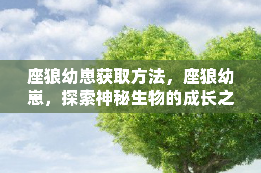 座狼幼崽获取方法,座狼幼崽,探索神秘生物的成长之旅 座狼幼崽获取方法,座狼幼崽,探索神秘生物的成长之旅