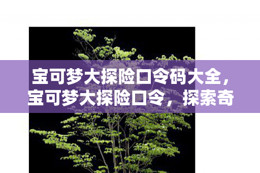 宝可梦大探险口令码大全,宝可梦大探险口令,探索奇妙世界的神秘钥匙 宝可梦大探险口令码大全,宝可梦大探险口令,探索奇妙世界的神秘钥匙