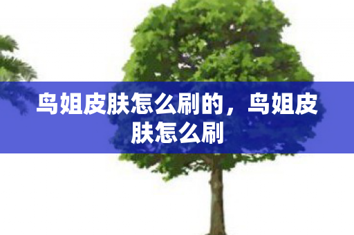 鸟姐皮肤怎么刷的,鸟姐皮肤怎么刷 鸟姐皮肤怎么刷的,鸟姐皮肤怎么刷