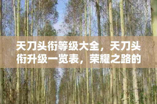 天刀头衔等级大全,天刀头衔升级一览表,荣耀之路的璀璨篇章 天刀头衔等级大全,天刀头衔升级一览表,荣耀之路的璀璨篇章