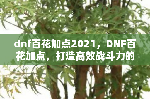 dnf百花加点2021,DNF百花加点,打造高效战斗力的关键 dnf百花加点2021,DNF百花加点,打造高效战斗力的关键