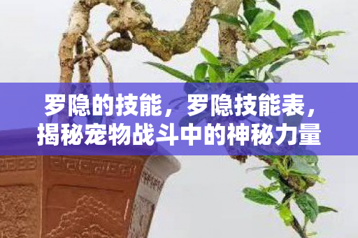 罗隐的技能,罗隐技能表,揭秘宠物战斗中的神秘力量 罗隐的技能,罗隐技能表,揭秘宠物战斗中的神秘力量