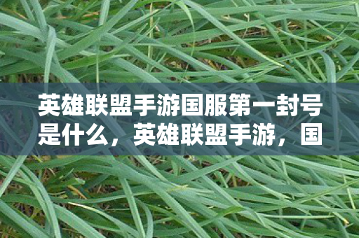 英雄联盟手游国服第一封号是什么,英雄联盟手游,国服第一封号背后的故事 英雄联盟手游国服第一封号是什么,英雄联盟手游,国服第一封号背后的故事