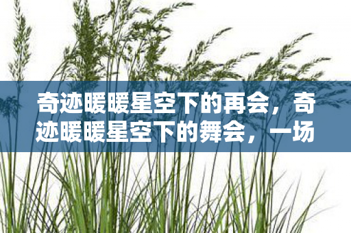 奇迹暖暖星空下的再会,奇迹暖暖星空下的舞会,一场梦幻的虚拟盛宴 奇迹暖暖星空下的再会,奇迹暖暖星空下的舞会,一场梦幻的虚拟盛宴