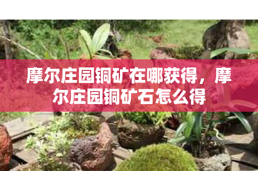 摩尔庄园铜矿在哪获得，摩尔庄园铜矿石怎么得