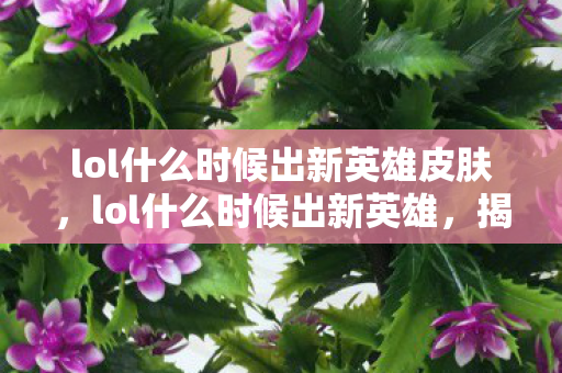 lol什么时候出新英雄皮肤，lol什么时候出新英雄，揭秘官方发布时间表与玩家期待