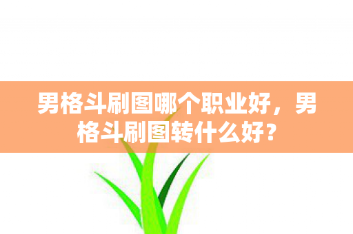 男格斗刷图哪个职业好,男格斗刷图转什么好? 男格斗刷图哪个职业好,男格斗刷图转什么好?