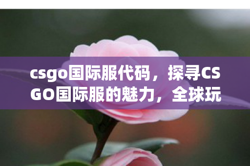 csgo国际服代码,探寻CSGO国际服的魅力,全球玩家竞技的舞台 csgo国际服代码,探寻CSGO国际服的魅力,全球玩家竞技的舞台