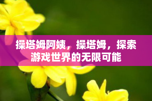 操塔姆阿姨,操塔姆,探索游戏世界的无限可能 操塔姆阿姨,操塔姆,探索游戏世界的无限可能