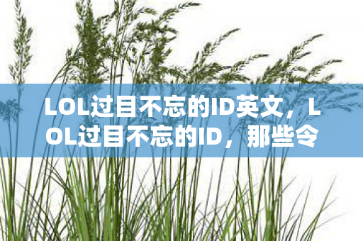 LOL过目不忘的ID英文,LOL过目不忘的ID,那些令人惊艳的昵称 LOL过目不忘的ID英文,LOL过目不忘的ID,那些令人惊艳的昵称