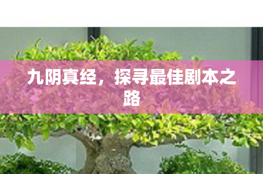 九阴真经,探寻最佳剧本之路 九阴真经,探寻最佳剧本之路