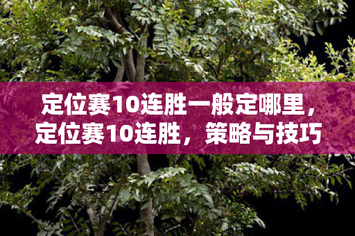 定位赛10连胜一般定哪里，定位赛10连胜，策略与技巧的深度剖析