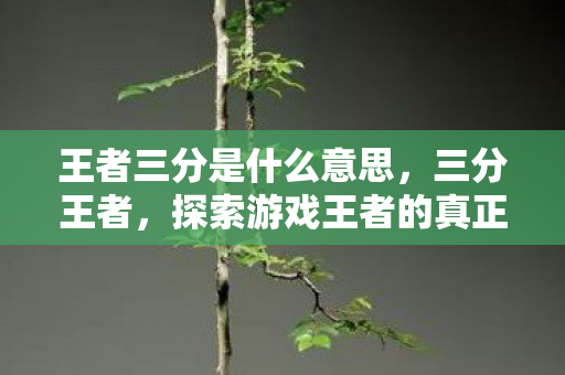 王者三分是什么意思，三分王者，探索游戏王者的真正含义