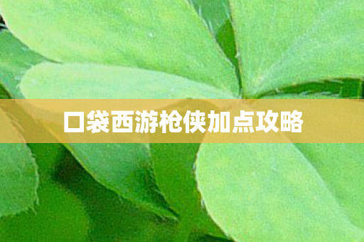 口袋西游枪侠加点攻略