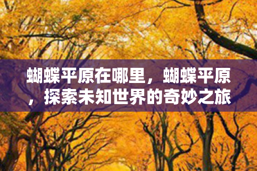 蝴蝶平原在哪里，蝴蝶平原，探索未知世界的奇妙之旅