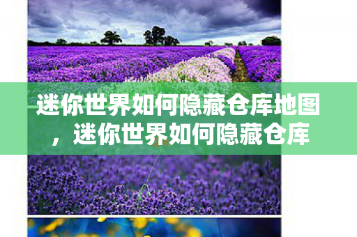 迷你世界如何隐藏仓库地图，迷你世界如何隐藏仓库