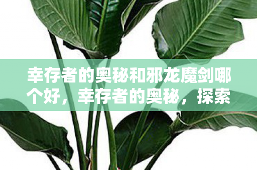 幸存者的奥秘和邪龙魔剑哪个好,幸存者的奥秘,探索游戏世界的无尽可能 幸存者的奥秘和邪龙魔剑哪个好,幸存者的奥秘,探索游戏世界的无尽可能