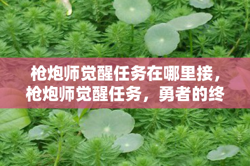 枪炮师觉醒任务在哪里接,枪炮师觉醒任务,勇者的终极试炼 枪炮师觉醒任务在哪里接,枪炮师觉醒任务,勇者的终极试炼