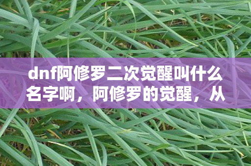 dnf阿修罗二次觉醒叫什么名字啊，阿修罗的觉醒，从天帝到极诣·阿修罗
