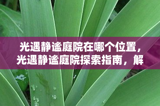 光遇静谧庭院在哪个位置,光遇静谧庭院探索指南,解锁梦幻之境的神秘角落 光遇静谧庭院在哪个位置,光遇静谧庭院探索指南,解锁梦幻之境的神秘角落