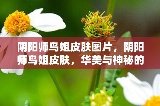 阴阳师鸟姐皮肤图片，阴阳师鸟姐皮肤，华美与神秘的交织