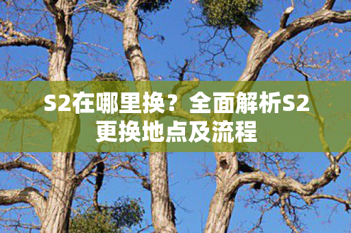 S2在哪里换?全面解析S2更换地点及流程 S2在哪里换?全面解析S2更换地点及流程