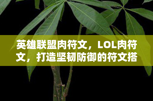 英雄联盟肉符文，LOL肉符文，打造坚韧防御的符文搭配指南