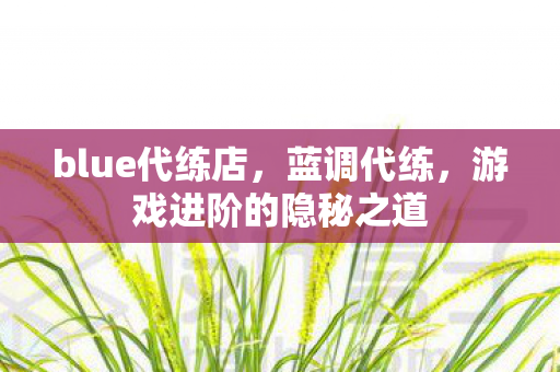 blue代练店,蓝调代练,游戏进阶的隐秘之道 blue代练店,蓝调代练,游戏进阶的隐秘之道